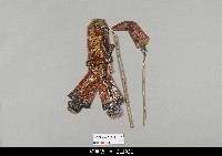 藏品(中國湖北皮影戲偶身)的圖片